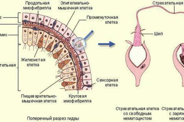 Что такое кракен площадка