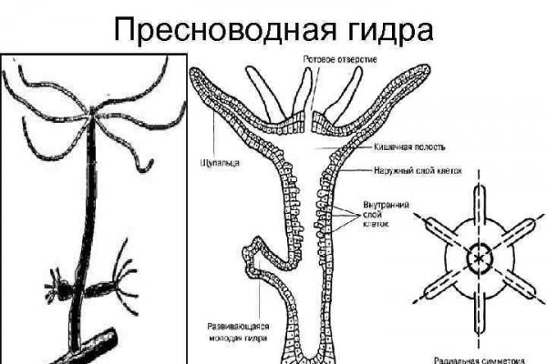 Ссылка на кракен 15ат